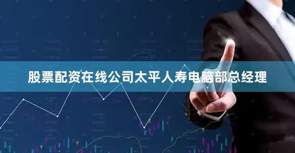 股票配资在线公司太平人寿电脑部总经理