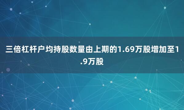 三倍杠杆户均持股数量由上期的1.69万股增加至1.9万股